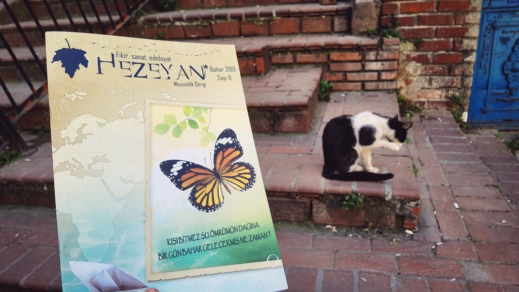 🍁
"Usulca sofalara sızıyor korkusu 
Özgürlüğü bilmiyor kuşatılmış 
Kıyısında hiç yaşamadığı sevda"