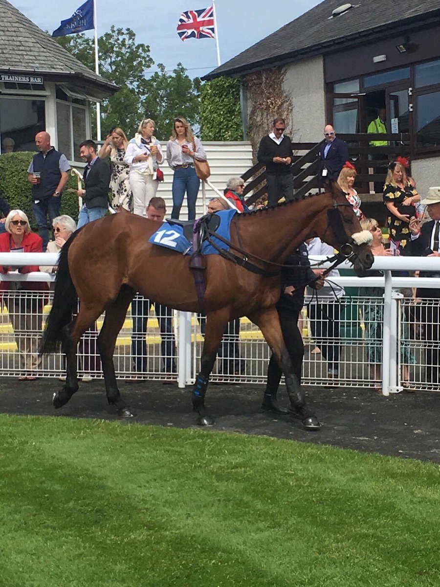MountRacingNews's tweet photo. Few from @HexhamRaces where Champagne To Go ran another creditable race for us and @RebeccaEMenzies with @nathanmoscrop on board.
#LoveRacing #GetInvolved 🏇🏼🏇🏼🏇🏼 https://t.co/Xxvs8P0NEp