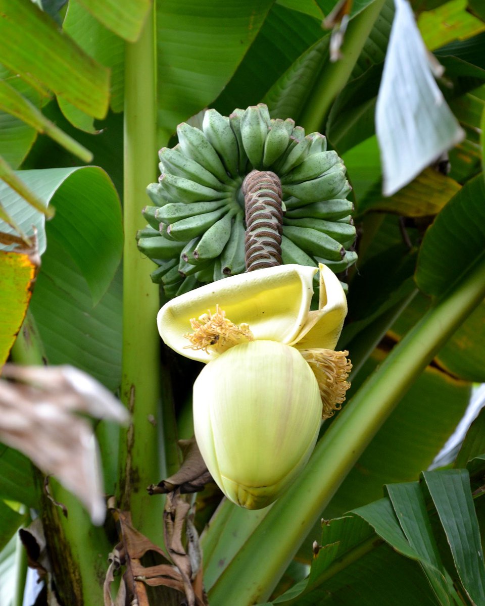 Christophe Jenny tweet media