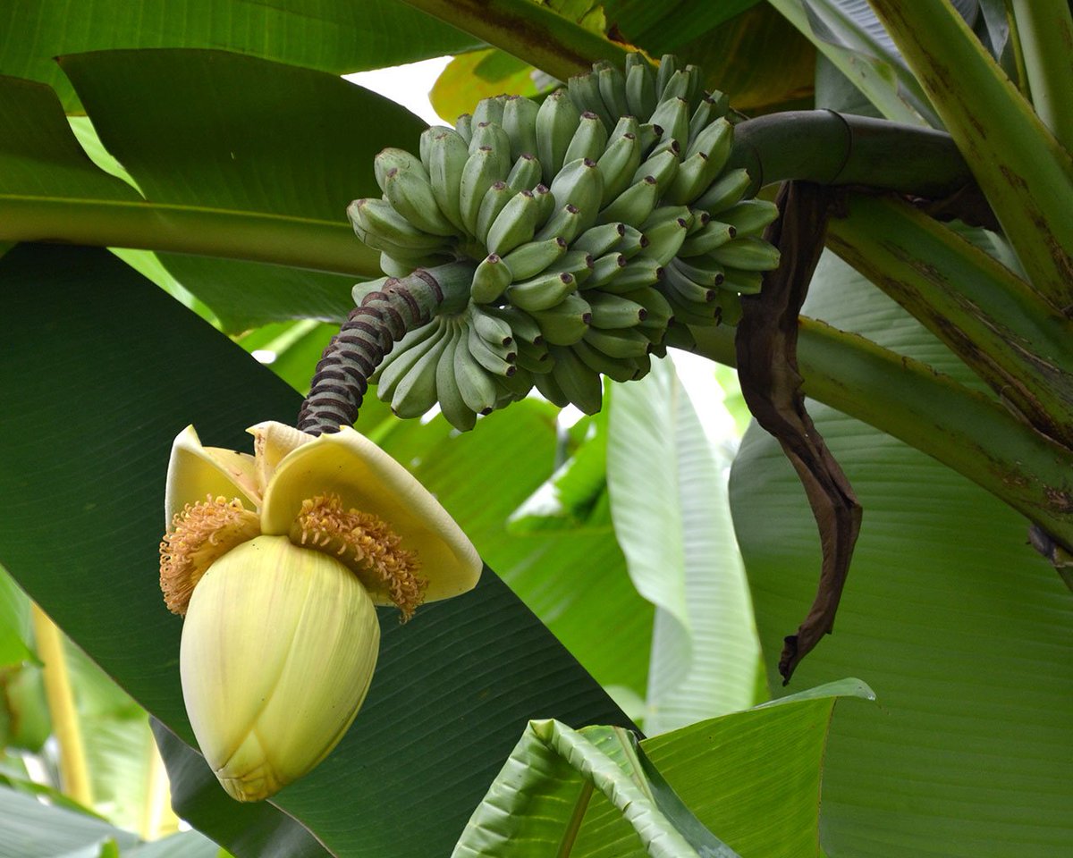 Christophe Jenny tweet media