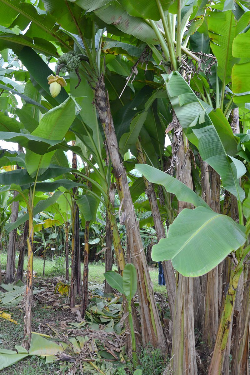 Christophe Jenny tweet media