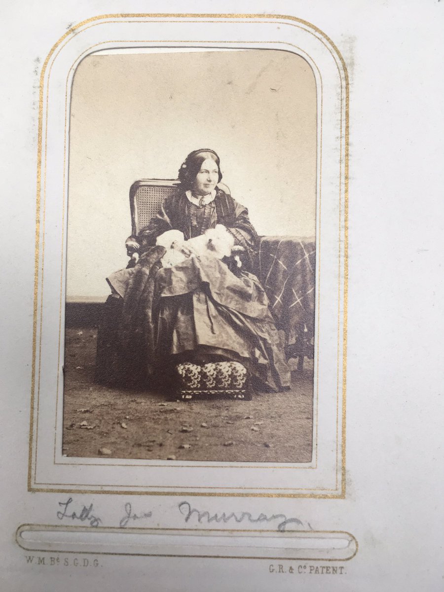 AmapolaFuxia's tweet image. Good boys...from 154 years ago! 🐕😱 #dogsoftwitter #victoriandogs @NTSCollections #projectreveal