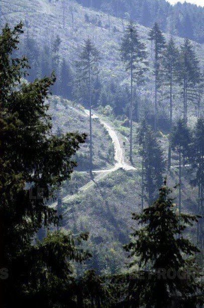 Jardin_du_sud's tweet photo. Financer la plantation de nouveaux arbres, c'est possible.  #nature #arbre #dvpdurable https://t.co/pOE3v2JGXr https://t.co/Cm3VFhAYtM