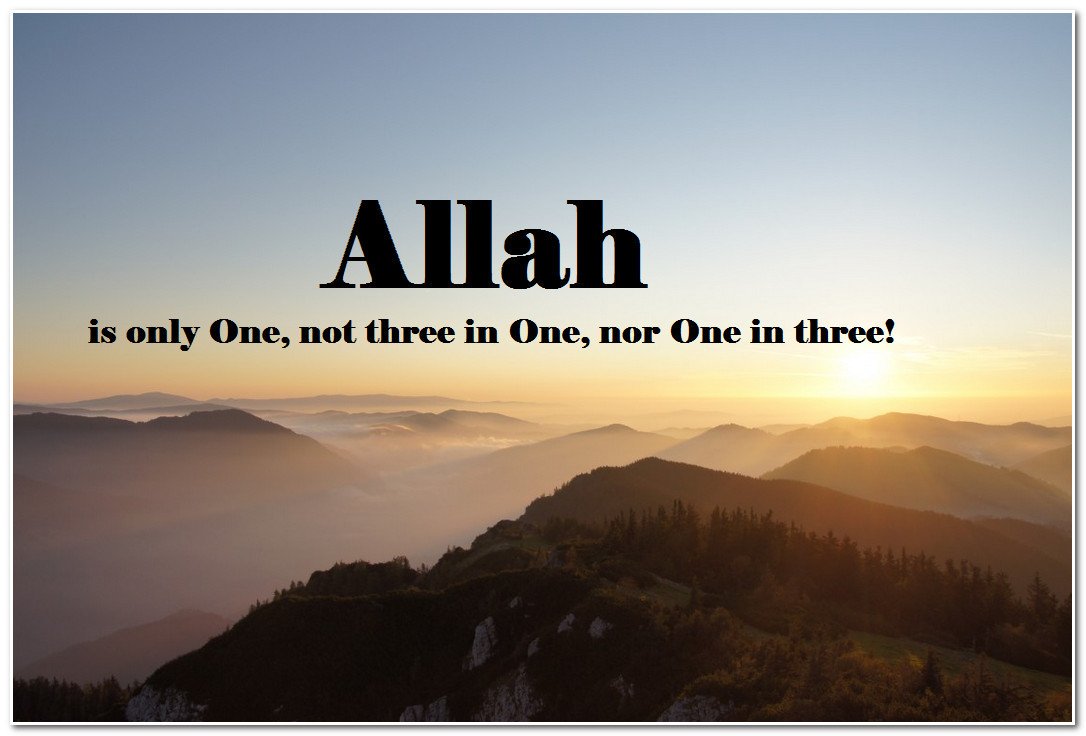 About Islam tweet media