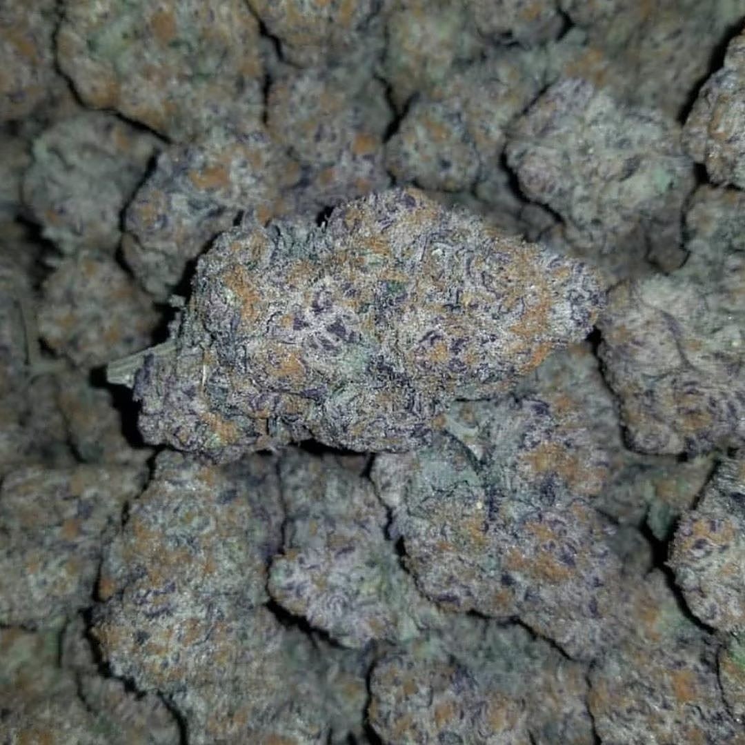 WilliambrownG's tweet photo. #marrijuana #weed #CannabisCommunity #cannabisnews #cannabislightkaraoke #cannabisculture #marrijuannews https://t.co/q1yx5V7Jag