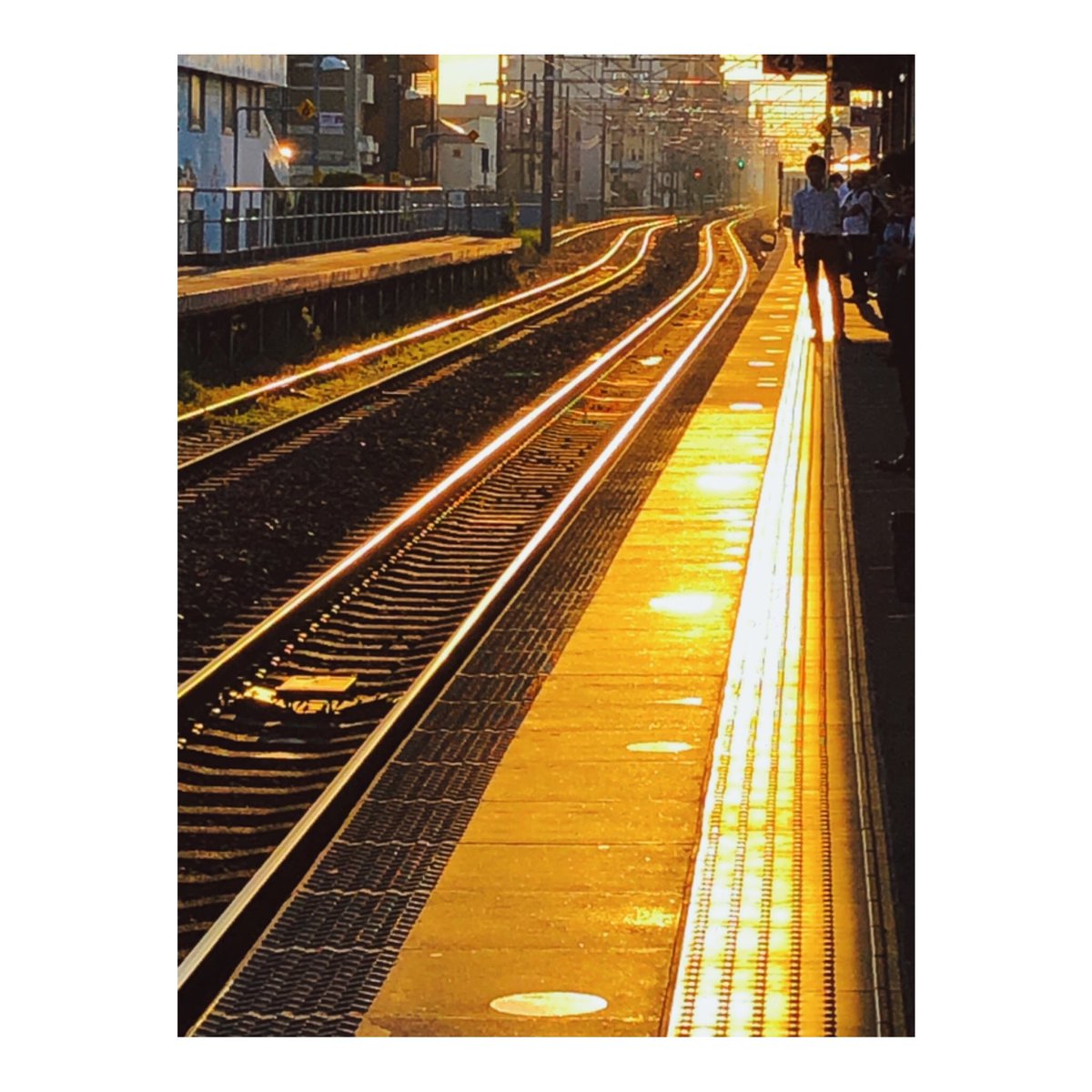 Golden time

#gold
#instarail 
#at_station 
#梅雨の晴れ間
#写真好きな人と繋がりたい 
#フジタ写真部 
#rni_films 
#iphoneography 
#shotoniphone