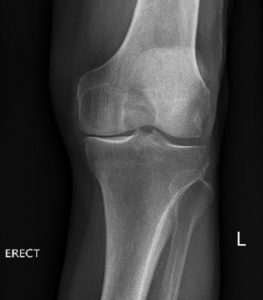 Christian Barton tweet media