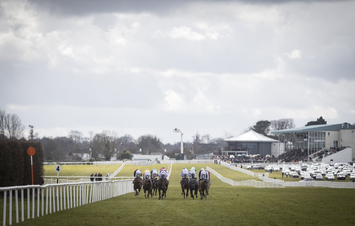 NaasRacecourse's tweet photo. Looking forward to seeing Holy Roman Empress another American Pharoah offspring making her debut at #NaasRC tomorrow  in the @IrishEBF_  Fillies Maiden for @Ballydoyle 🐎 See full declarations here - https://t.co/giIh8f2ywM https://t.co/B9ThpMmrGv