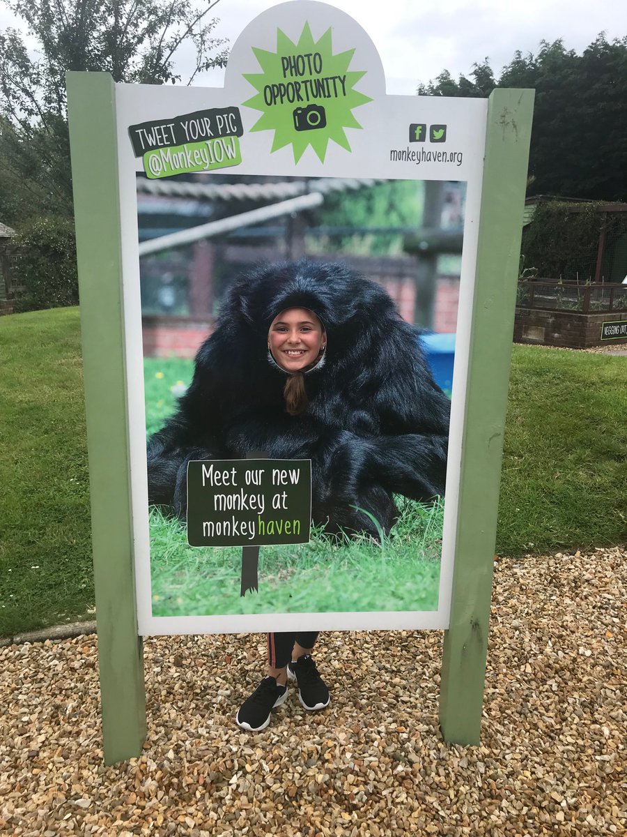 StSampsonsPri's tweet photo. Here’s another one! #MonkeyIOW https://t.co/RpgYO3OQYm