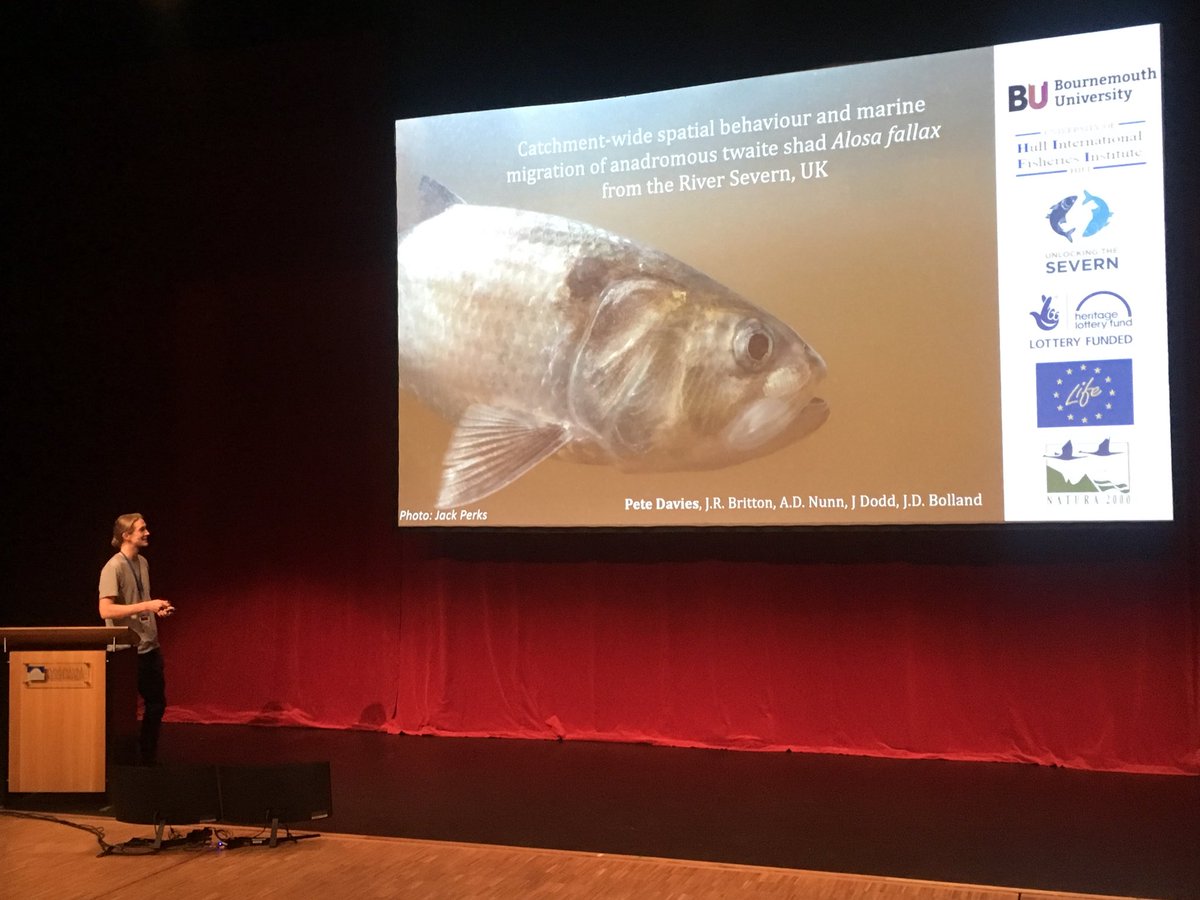 FishMigrationDr's tweet image. @Pete_Davies1 talking about #shad migration as part of the @SevernUnlocked at the @2019Icft  

sciencedirect.com/science/articl…