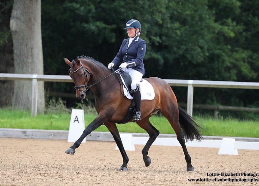 Alexis_C_Ross's tweet photo. Princess Bea carried me and bump to a medium win at the weekend, picking up 9 of the 12 points needed for regional qualification 🤩😇 #maternitydressage 🤰🏼🐴 https://t.co/Y0EHSi8uzK