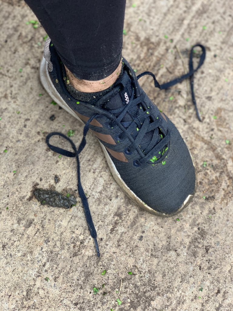 Steadlaneschool's tweet photo. Y2 had a fab time visiting Azure Garden Centre in Cramlington. We found out loads about growing and looking after plants. Oops - soggy shoes https://t.co/9iyKLD7BBD