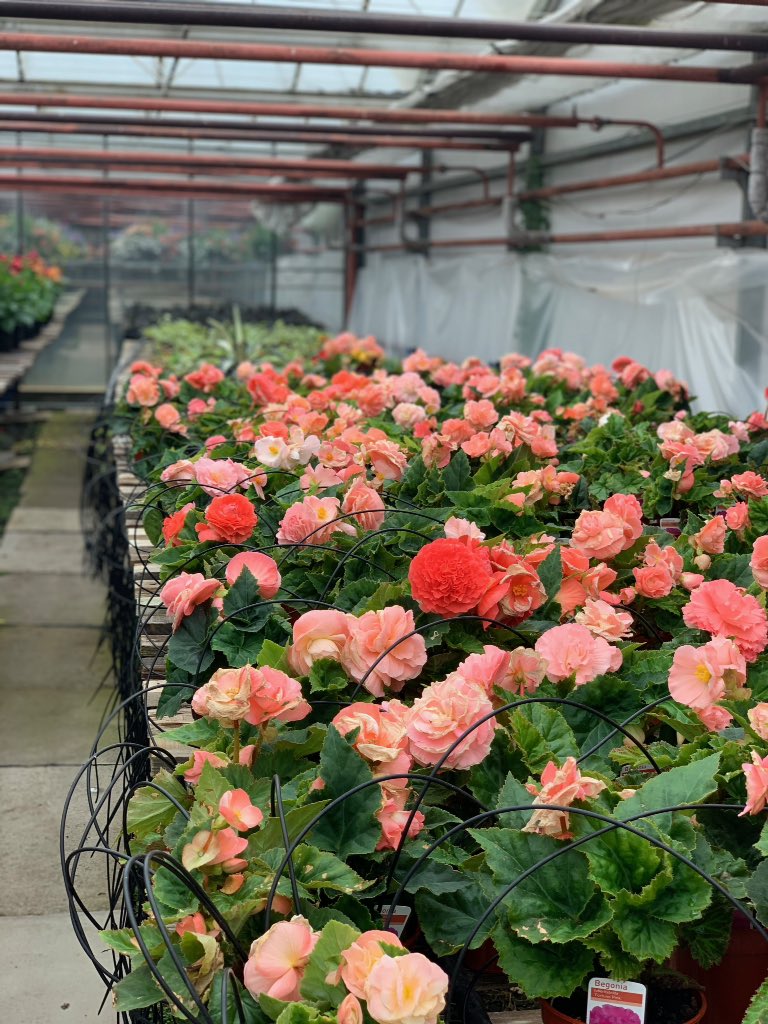 Steadlaneschool's tweet photo. Y2 had a fab time visiting Azure Garden Centre in Cramlington. We found out loads about growing and looking after plants. Oops - soggy shoes https://t.co/9iyKLD7BBD