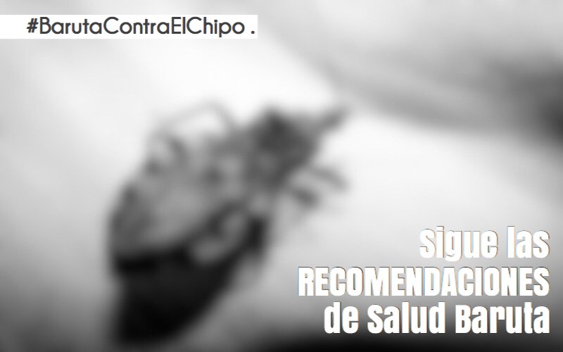 Ante la presencia de chipos, sigue siendo las recomendaciones de #SaludBaruta
⇲
Ingresa en este link e infórmate cómo actuar en estos casos ➝ bit.ly/BarutaContraEl…

#BarutaContraElChipo