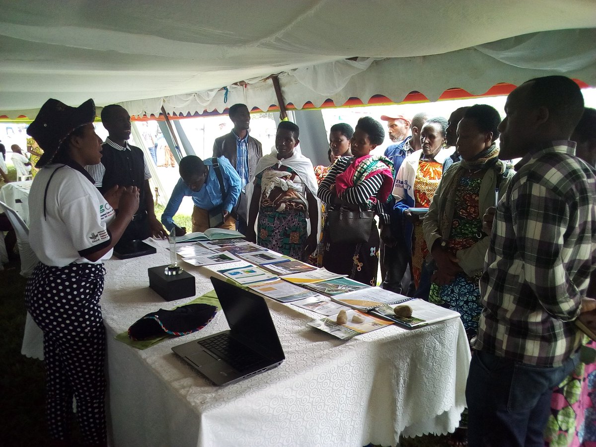 Anastasie Ntamushobora tweet media