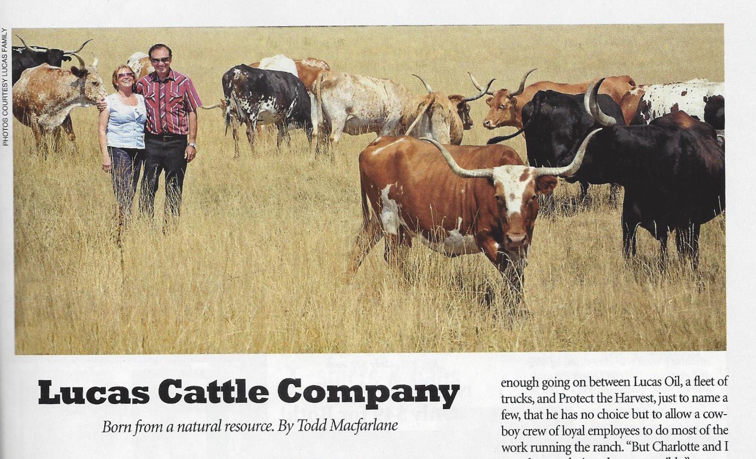 Additional Info  Lucas Cattle Company