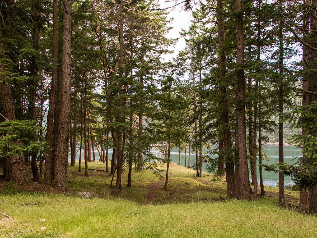 GulfIslandsNPR's tweet photo. Narvaez Bay Campground offers backcountry camping in one of the most beautiful and undisturbed bays in the Southern Gulf Islands!
This unique ecosystem is accessible by boat, bike, or by foot.
https://t.co/War6XT1XfP https://t.co/ZCdlZS4gB3