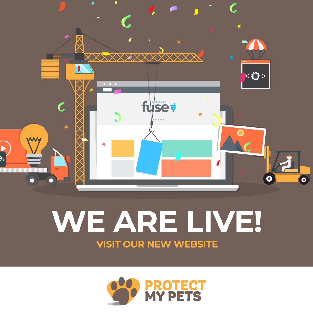 ProtectMyPetsUK's tweet photo. THE ALL-NEW FUSE ASSURANCE WEBSITE IS NOW LIVE, HOME TO PROTECT MY POCKETS &amp; PROTECT MY PETS!
https://t.co/HERFXtp2rO
#new #launch #website #insurance #lifeinsurance #incomeprotection #petinsurance #fuseassurance #protectmypockets #protectmypets #love #life #london https://t.co/6H18I1LedN