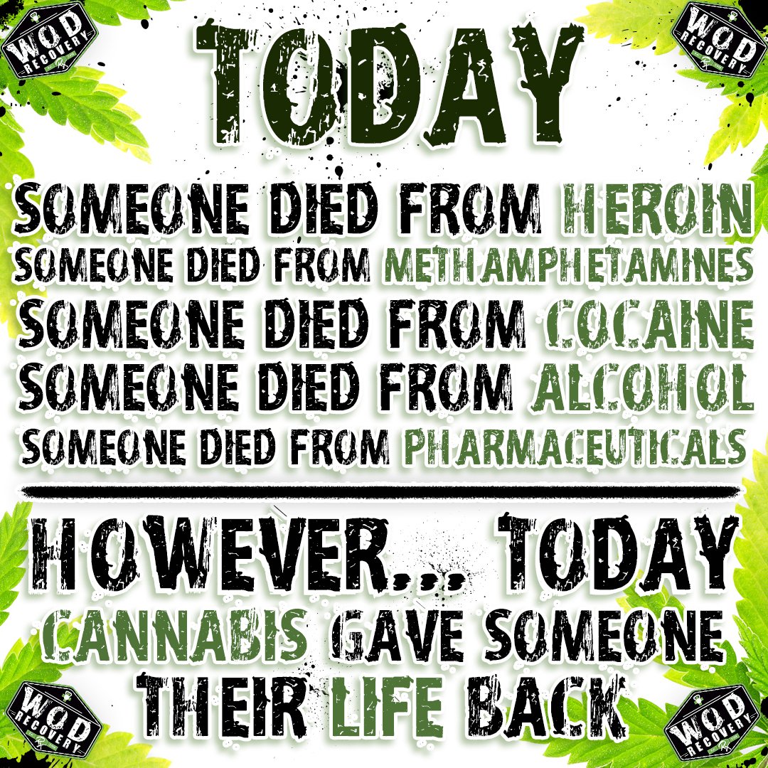 💯Today...
.
#wodrecoveryrx #cannabis_cuties #cannabis #cbdhelps #cbdheals #bigpharmasucks #crossfitrecovery #recoveryforlife #cannabisheals #cannabishelps #greenrush #holistichealth #holistichealing #saynotopills #cbdoil #cbdhempoil #cbdhemp #hempcbd #hempderived