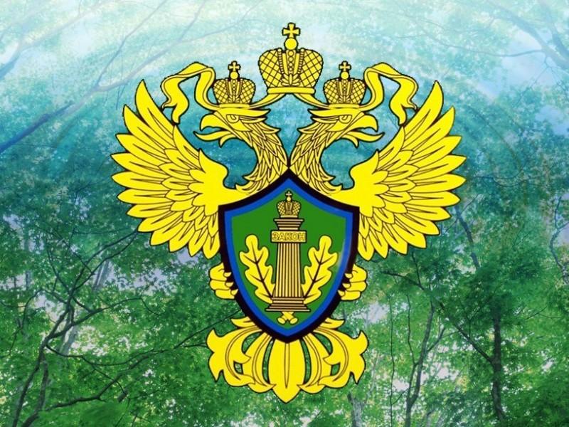 Тульский Росприроднадзор реорганизовали - tulactive.ru/news/131895