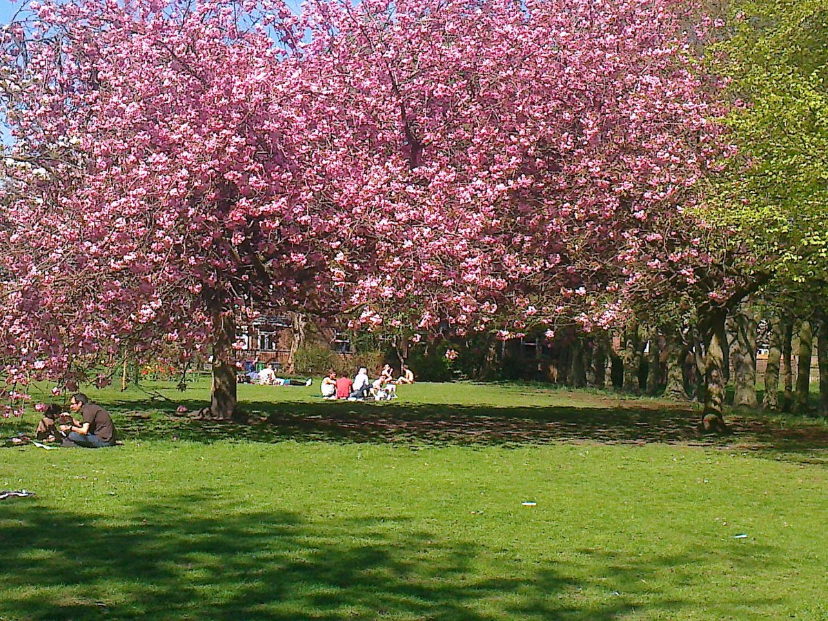 Heatherlooharr1's tweet photo. #McrParks #beechrd #longford #alexandra https://t.co/V5toG2297i