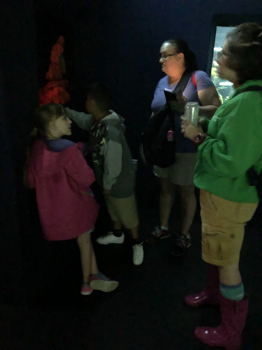 SISD Multilingual tweet media