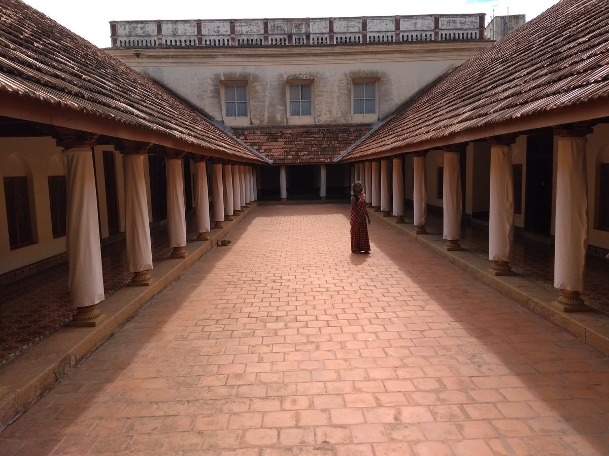 It's unfortunate that I accidentally blended in with the background.