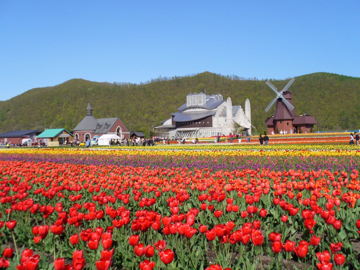 Flower Fields in Hokkaido