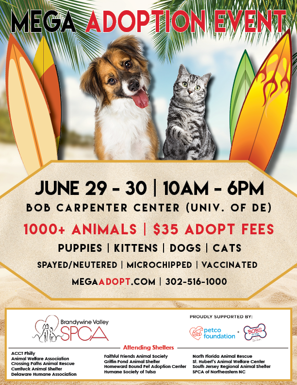 MJWilsonRealEst's tweet photo. Join us June 29-30 for an amazing Mega Adoption Event! Over 1000 animals! $35 Adoption Fees, Spayed/Neutered, Micro chipped, and Vaccinated! Visit https://t.co/4r1YH1aeWv for more Info! @BrandywineSPCA #Dogs #Cats #Furbabies #Adoptions #Spca #BrandyWine #UniversityofDeleware https://t.co/PfmJa6muLG