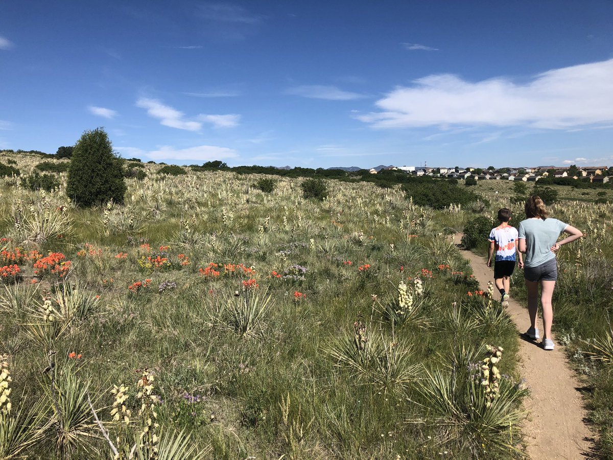 Shamree_Howard's tweet photo. Went on a small walk with my kiddos... it was only 45 minutes and just out our back door. #pikespeak #breaktaking https://t.co/TcZmBKwd2P