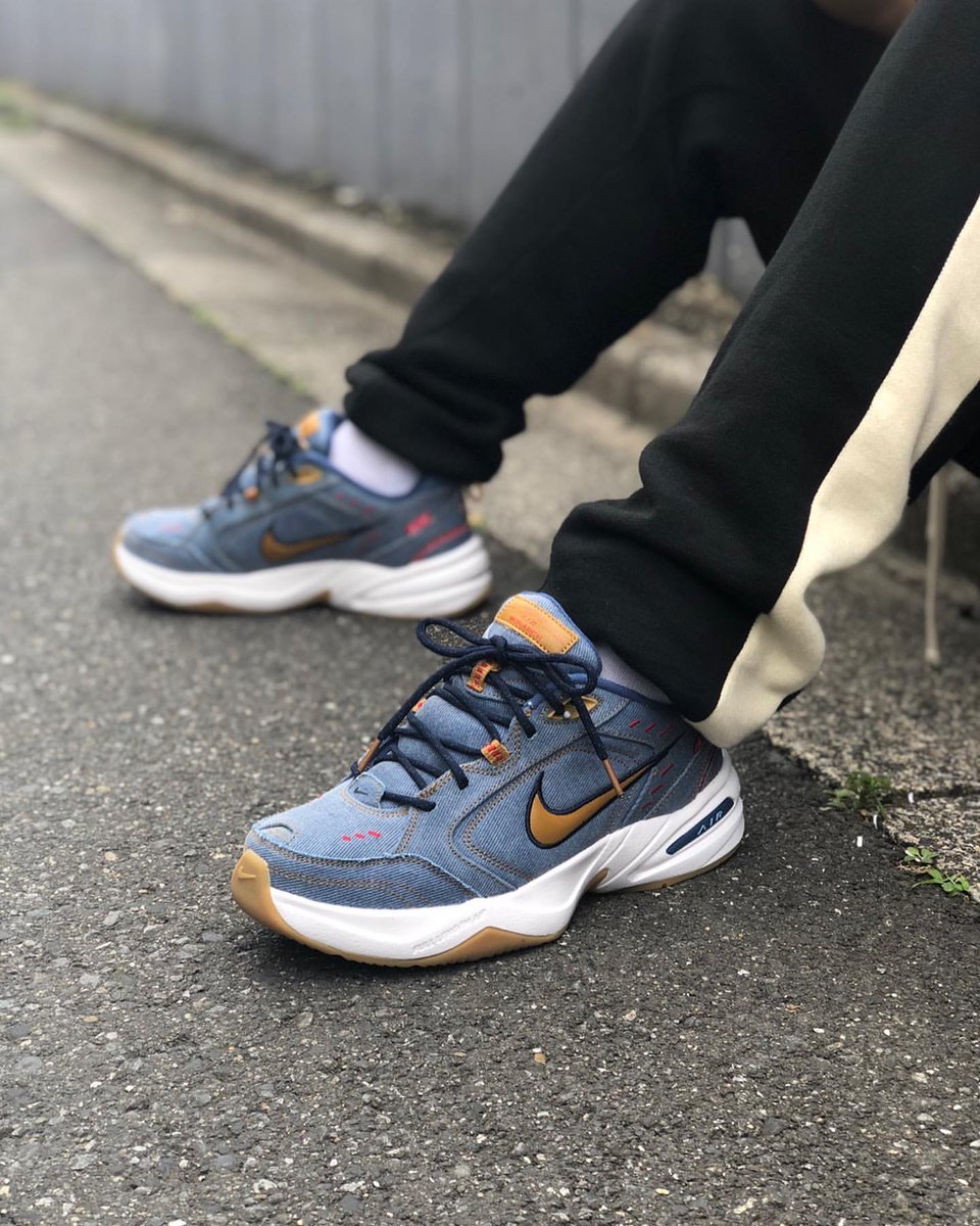 nike air monarch pr