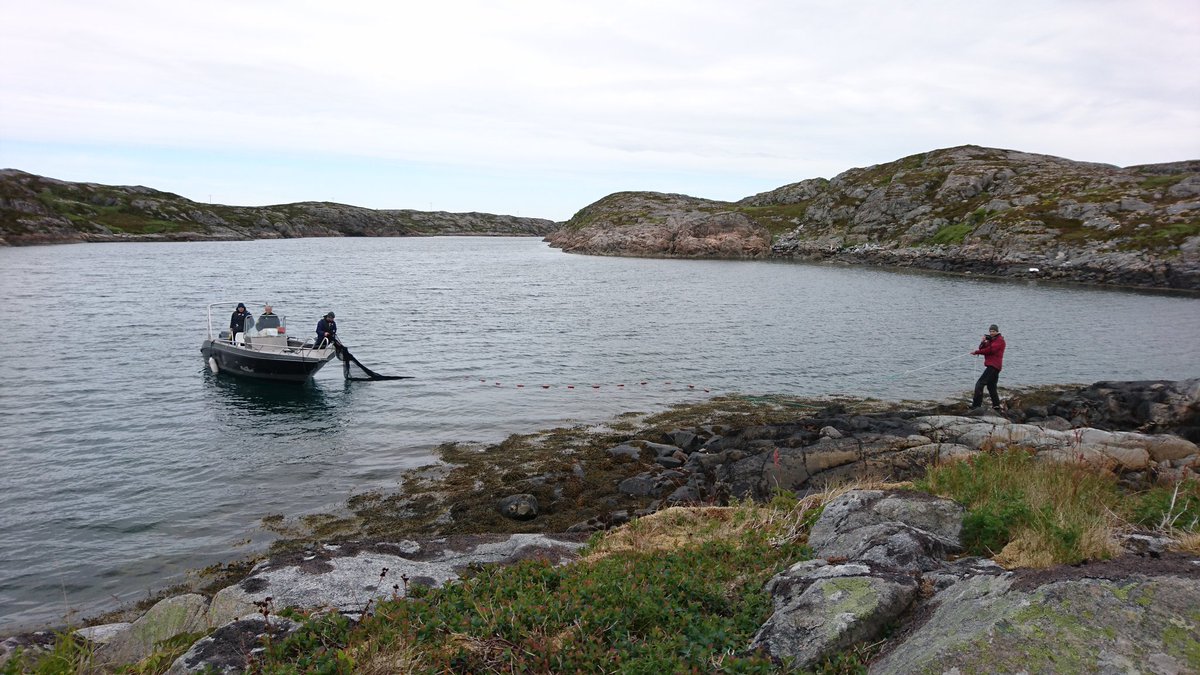 IrjaIda's tweet photo. Start-up meeting for the #DYNAMAR project. Now we know what the gobies and the field site look like. All really nice! https://t.co/w5tIu7S0xf