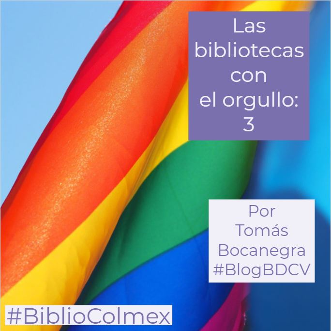 BiblioColmex's tweet photo. En este mes del #orgullo2019 
"Las bibliotecas con el Orgullo 3" Otros libros sobre cultura gay, post de Tomas Bocanegra, bibliógrafo asignado al Centro de Estudios Económicos - Colmex 

Te invitamos a leer y compartir---> https://t.co/wqkeS0gHSZ

#BiblioColmex  #BlogBDCV https://t.co/vH8DzocDVW