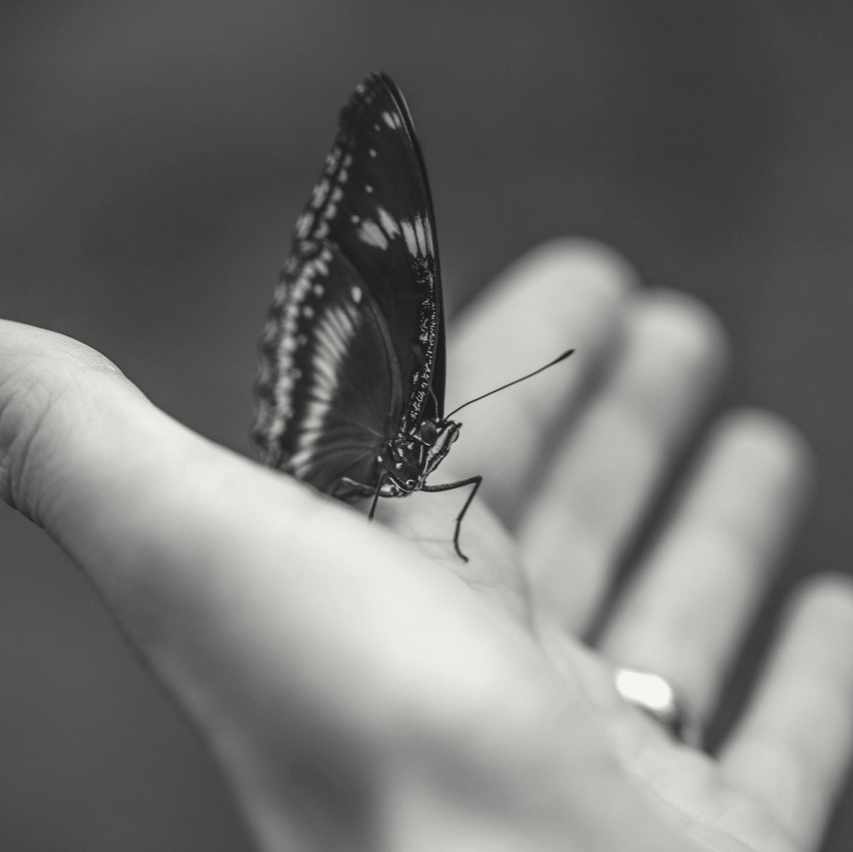 ilsafragrances's tweet image. Love #list23 from @mooreaseal #52listsforhappiness! It asks you to reflect on ways you enjoy being kind to others, it also then asks you to see how many ways you can be kind to others this week! Let's see how kind we can all be to others this week!❤️ #perfumewithapurpose