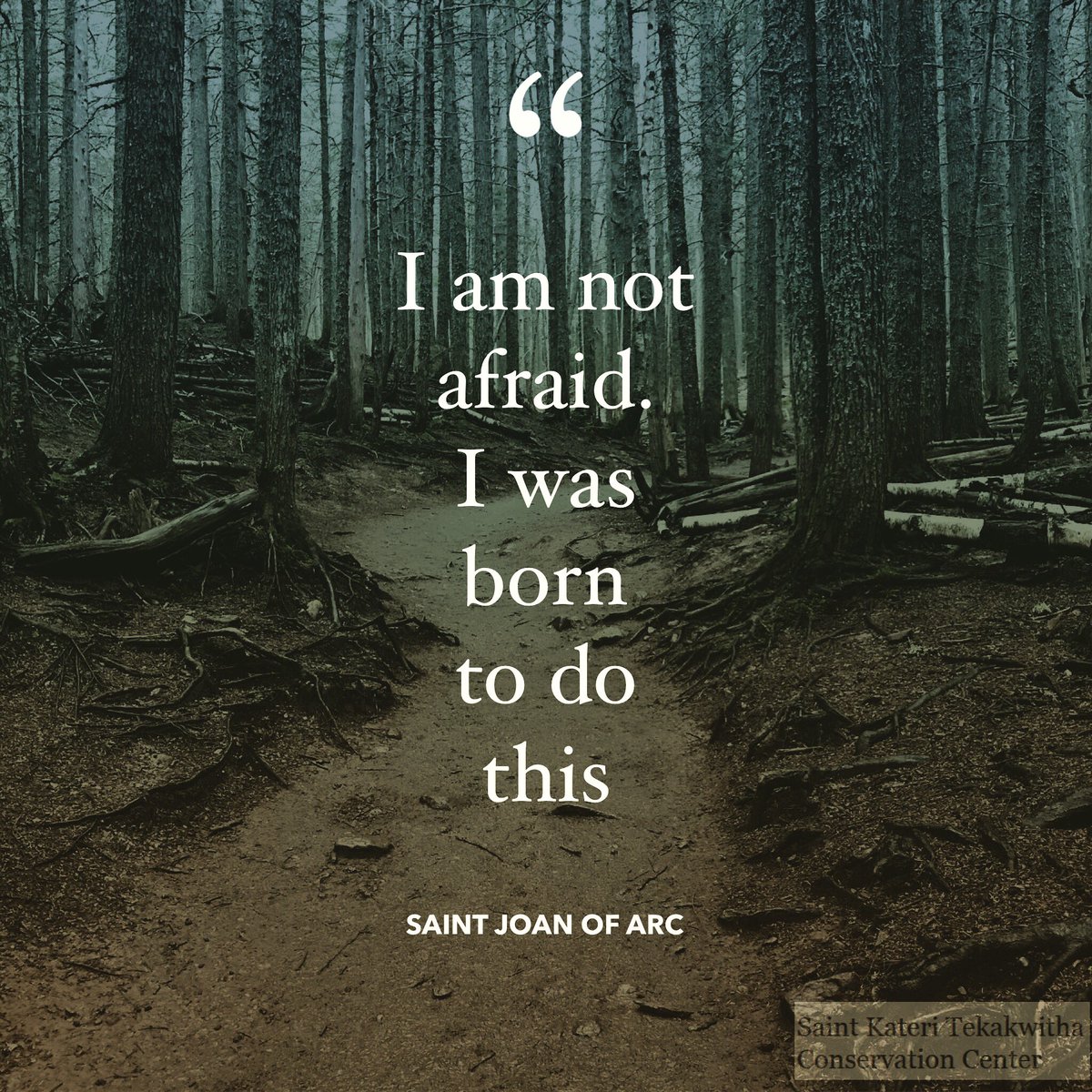 Sometimes God is calling you to do something out of your comfort zone. It might be nerve wracking, daunting, or just plain scary. Ask Him for help and #guidance. Ask that if he wants you to do this, to give you the courage to say yes and to carry on! #saintjoanofarc #courage #God