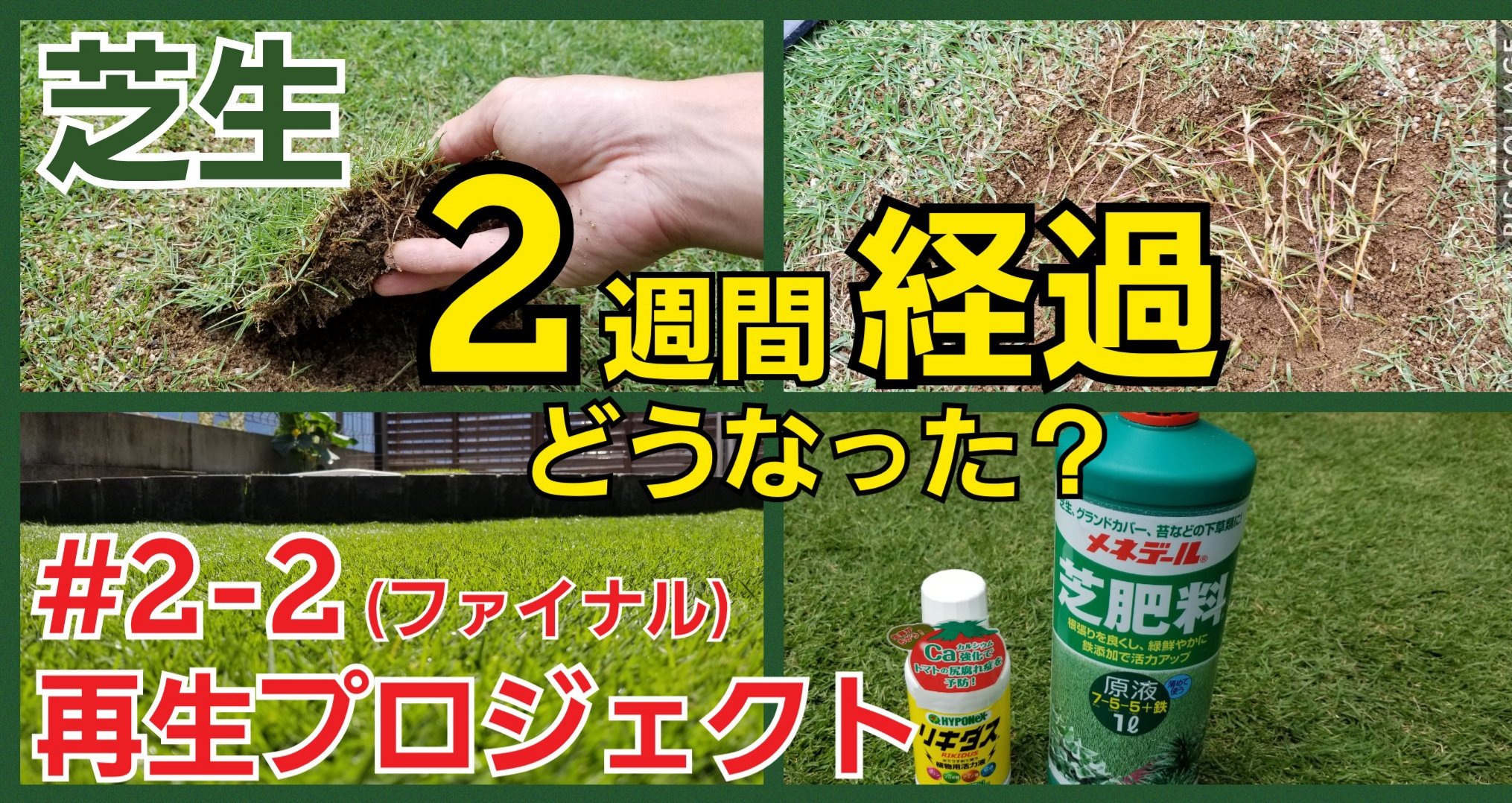 つりきっぷの芝生日記 T Co 1lb6nwlprm 最新動画です 芝生 芝生の手入れ 枯れた 復活 再生 Youtube T Co Nchyjeuvf0 Twitter
