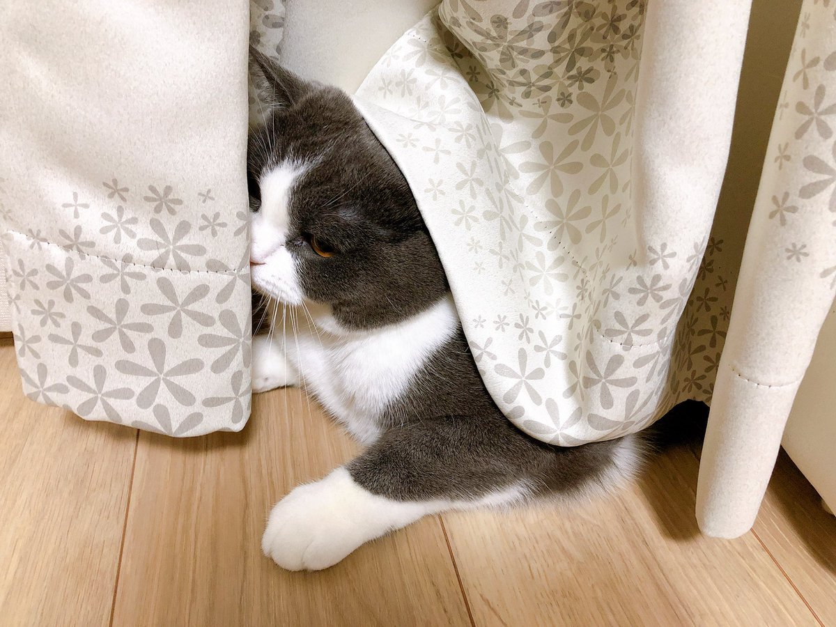 お昼寝からのおはよーございます 