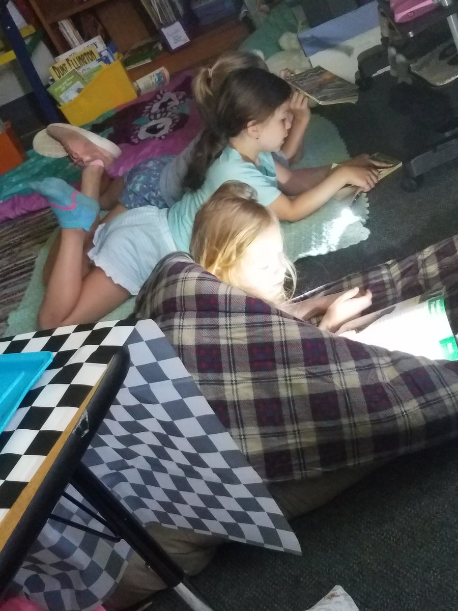 MossHomeroom's tweet photo. Flashlight reading by the campfire 🔥⛺
@WestLakeElem https://t.co/s3pWJVSuqo
