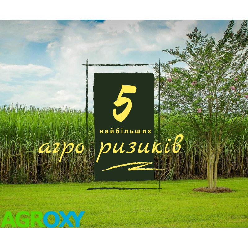 Як використовувати безкоштовні інструменти Агроксі, що б виявити/порахувати свої ризики при продажах агропродукцій?
Які ризики слід дослідити кожному в агробізнесі?
Детально - agroxy.com/article/rejtin…