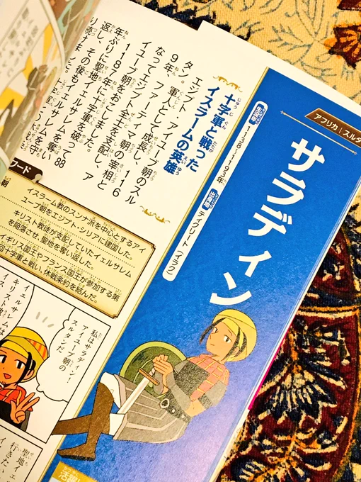 本当にサラディンが載ってる…! 