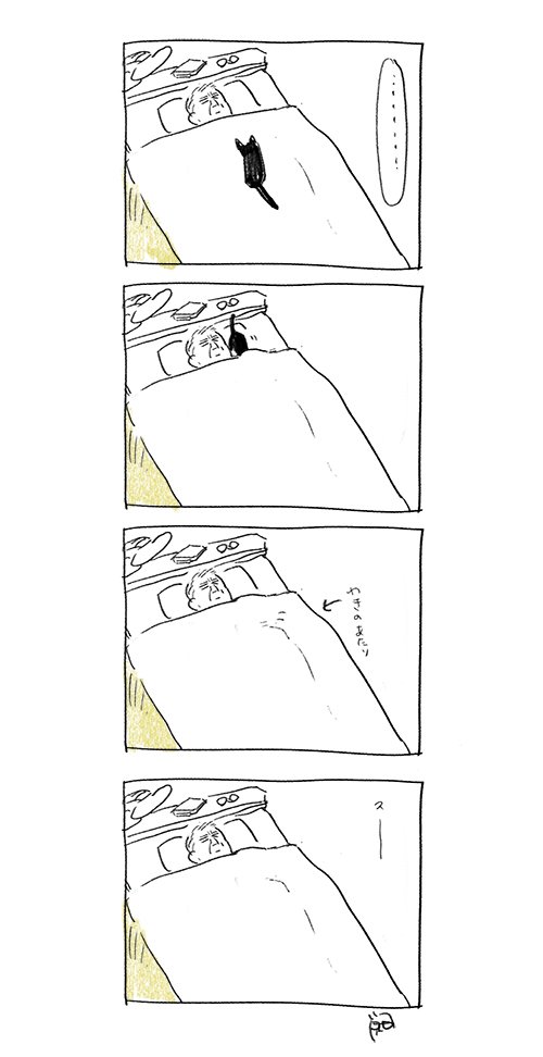 近況です(猫の) 