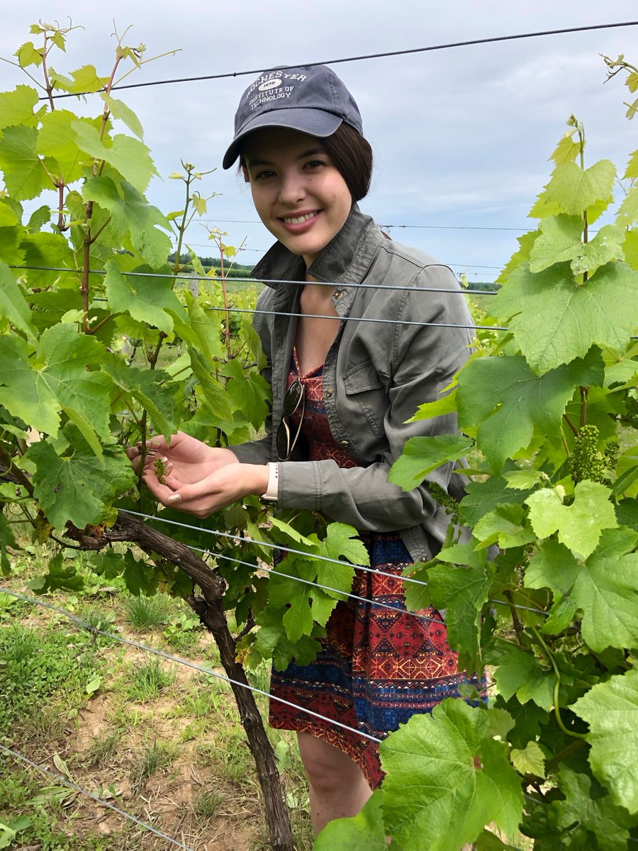 Gadoury Lab tweet media