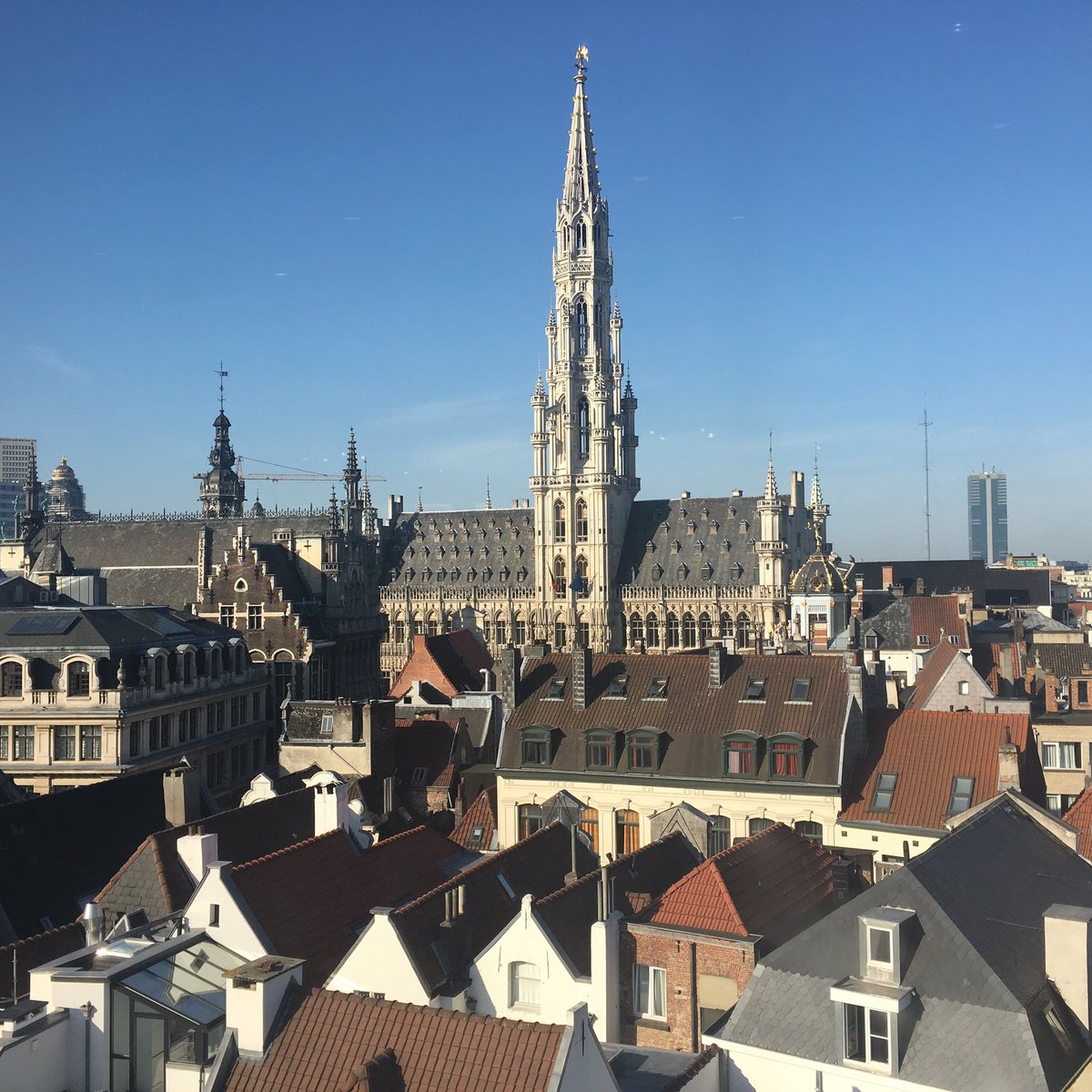 ilaria_armaroli's tweet photo. The final conference of the @ProjectSuni has been held today in #Brussels. I have to say goodbye to my first “little baby”: the first project that I have designed, coordinated and implemented on behalf of @adaptland. It has not always been easy but it has taught me a lot! https://t.co/xor4tIivfU