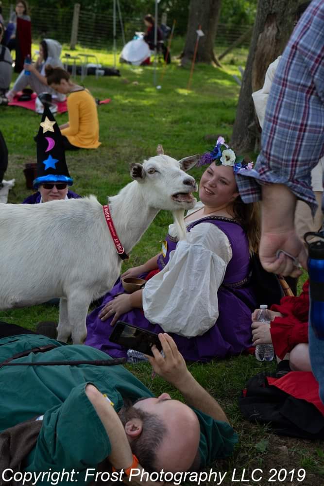 LarpTips's tweet photo. Goat Larp's contribution to literature is a synthesis of James Joyce, Albert Camus, and Dr. Seuss. https://t.co/mITR8mq2D1
