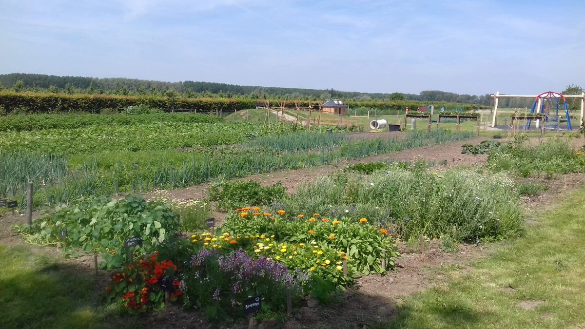 De pluktuin is weer open! Kom tijdens onze openingstijden zelf uw boeket bij elkaar plukken. Een kleine bos kost € 2,50 een grote € 4,95.