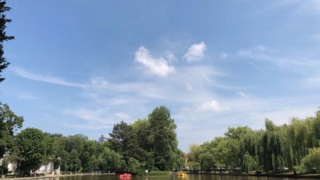 zgubi's tweet image. A tour of the Cluj &amp;amp; Bothanical Garden waiting for Tom Jones tomorrow night
____________________________
@soultryr @teodora.baluta #ig_cluj #bothanicalgarden #cluj #clujnapoca #Romania #tomjones #emagicmoments #AndreeaTravelsCluj #AndreeaTravelsRomania bit.ly/2FuRCUU