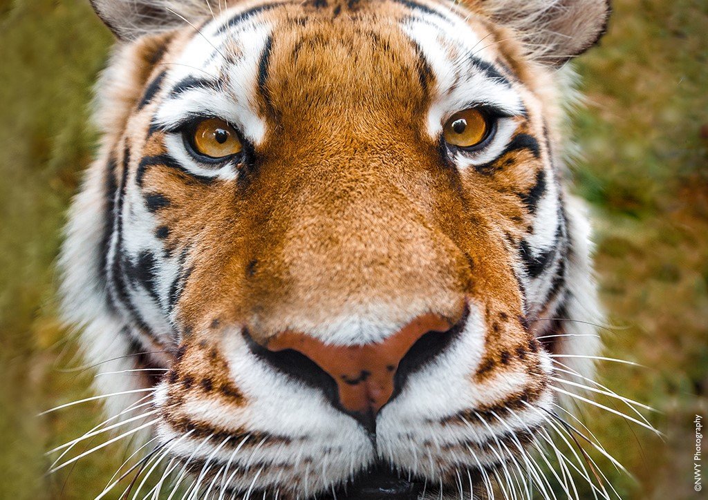 Group Travel World tweet media