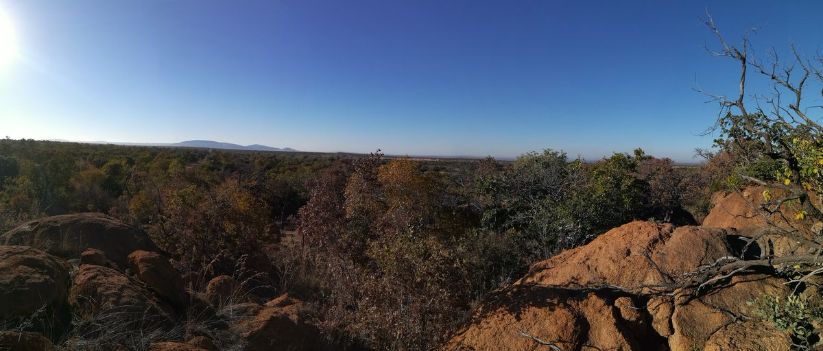 kontreiklets's tweet photo. Winter tyd is bosveld tyd. Ons kuier by @mabula_official se Safari Plains, en dis heerlik. https://t.co/HWH7oT0J07
