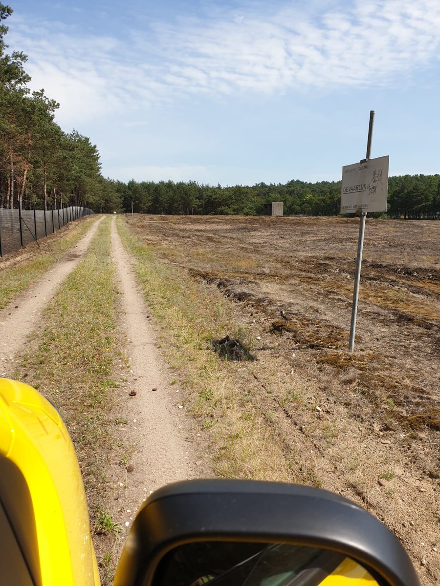 hvangasteren's tweet photo. Deze foto kreeg ik doorgestuurd van   Jan Hey, vogelwacht op Deelen. Kievit pullen schuilen voor de hitte (32 grd) in de schaduw van een bord. Vrouw staat op 1 m toe te kijken @vogelnieuws @Sovon https://t.co/Qe41oZgUYB