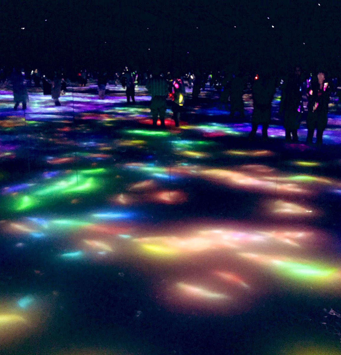 mahi1024's tweet photo. 念願のteamLab☆Planets  TOKYO

作品の中に自分が溶け込んでいく感覚に圧倒されました https://t.co/iyie0p0tbw